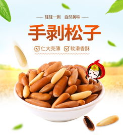 新貨松子 干果中的自然饋贈與營養享受