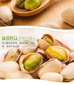 金色時光里的樓蘭蜜語 一份無漂白開心果的信任之旅